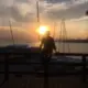damonding