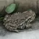 清宵短