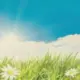 wordpress初学者