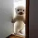 心醉