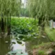 1233456Qw的头像-投影工坊