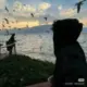 李浩博的头像-投影工坊