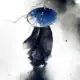 zzrliu的头像-天机阁