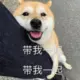 维他命