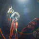 里