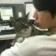 hyunmo