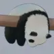 erhaeht的头像-投影工坊