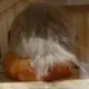 yuban21的头像-天机阁