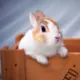 abc12345678的头像-天机阁