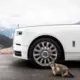 ABT