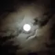 把我困在雨天里的头像-投影工坊