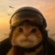 hhhh