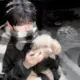 诗锦韵