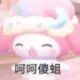 WEwew的头像-投影工坊