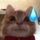 su