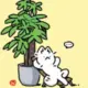 李庆霖的头像-投影工坊