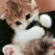 年少轻狂