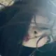 北冥的头像-投影工坊