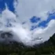 桃花灼灼
