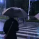 z1771296882的头像-投影工坊