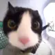 She