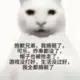 A2110753182的头像-投影工坊