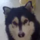 sunnyeden