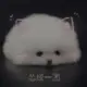 youchm的头像-投影工坊
