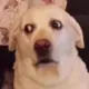 1552529611