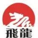 龙飞