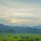 杨林