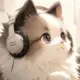 白夜