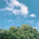 E0ce1c07043c2d194