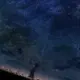 wkl334433的头像-天机阁