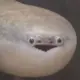 喵