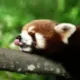 nzw9527的头像-天机阁