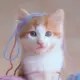 手机游戏