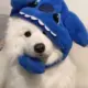 君君bh