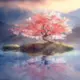 Wan-Qingxiao的头像-投影工坊