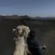 热心知鱼