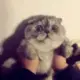 poiuyy