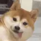 9527