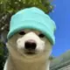 张