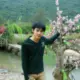 fengge