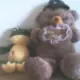 qq262679373