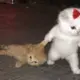 xielin的头像-投影工坊