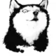 DogLeft5g的头像-天机阁