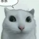 gfhgnj的头像-投影工坊