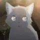 omiga