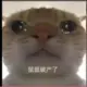w877254799的头像-天机阁